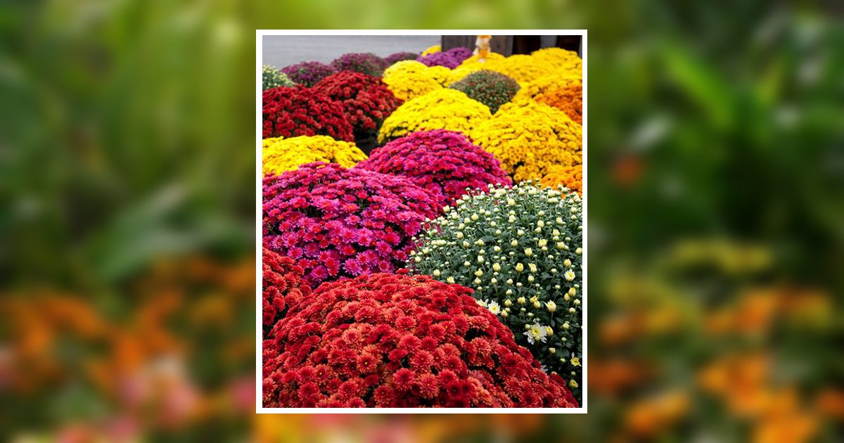 Darlene Martha Tanner Obituary, Winneconne, WI