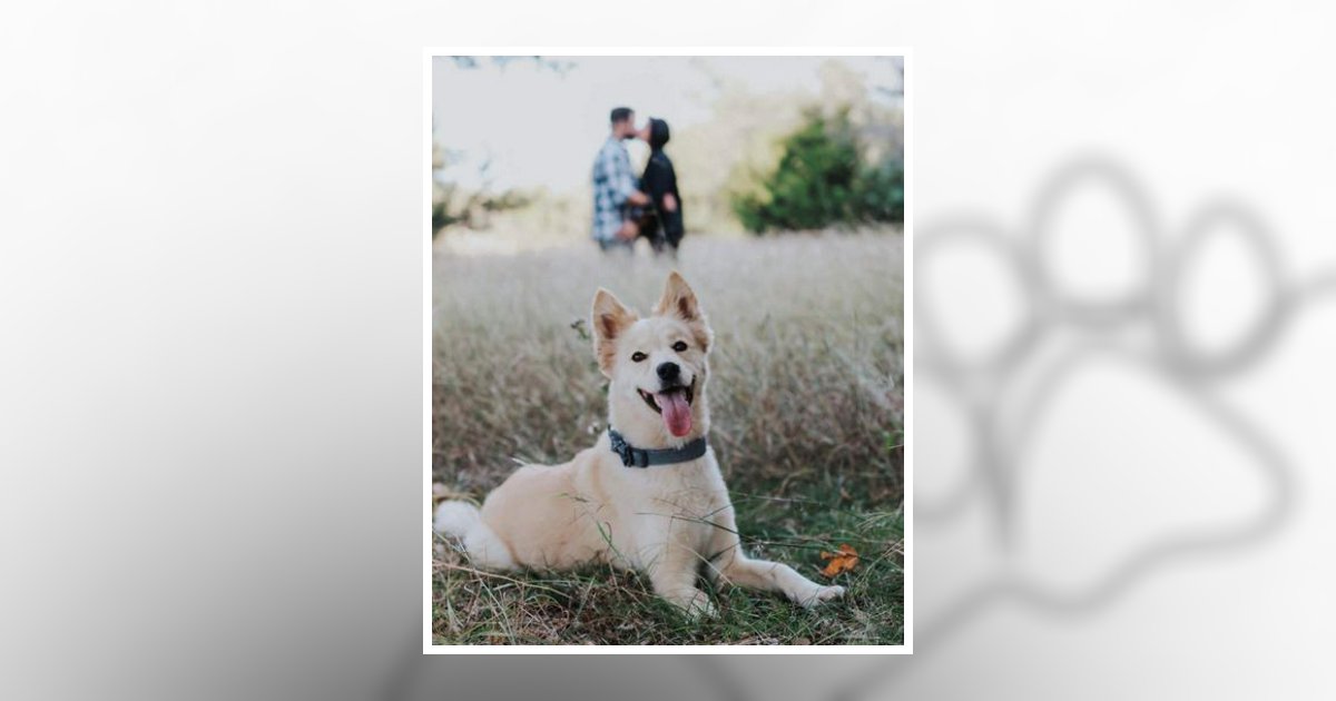 Layla Marie Brown Fort Worth, TX Obituary