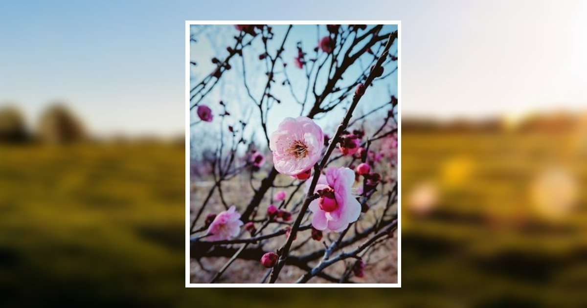 Mildred Leona Windle Obituary, Hannibal, MO