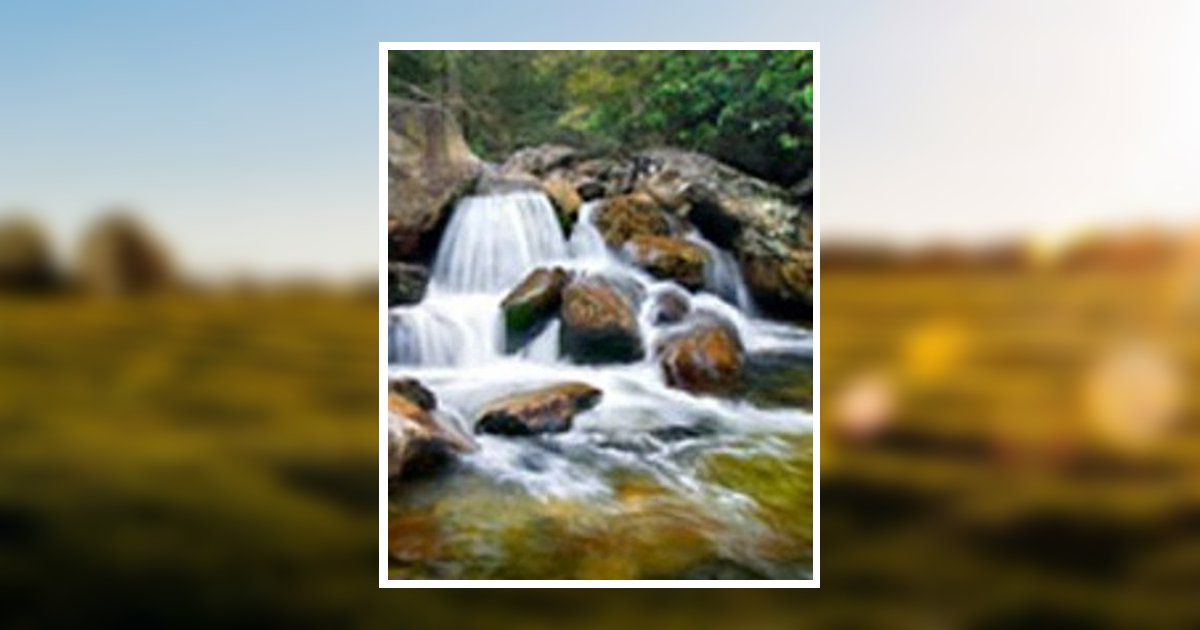 Connie J. Hammond Obituary 2020 SchumacherKish Funeral and Cremation