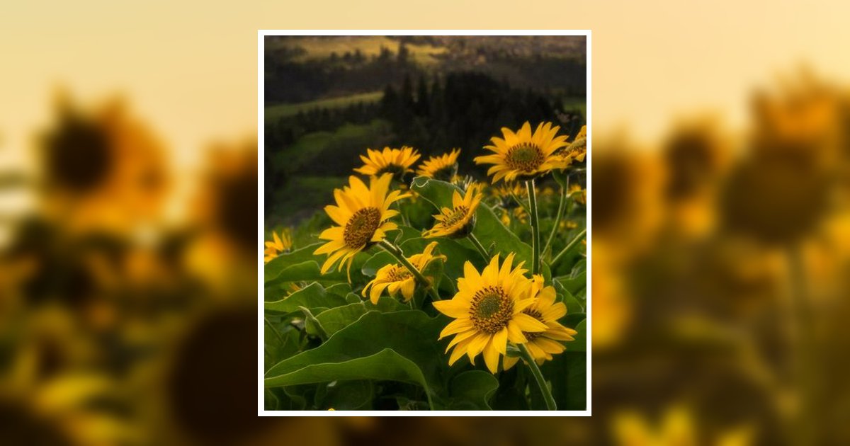 Ann Tidwell Obituary, Rutherford, TN