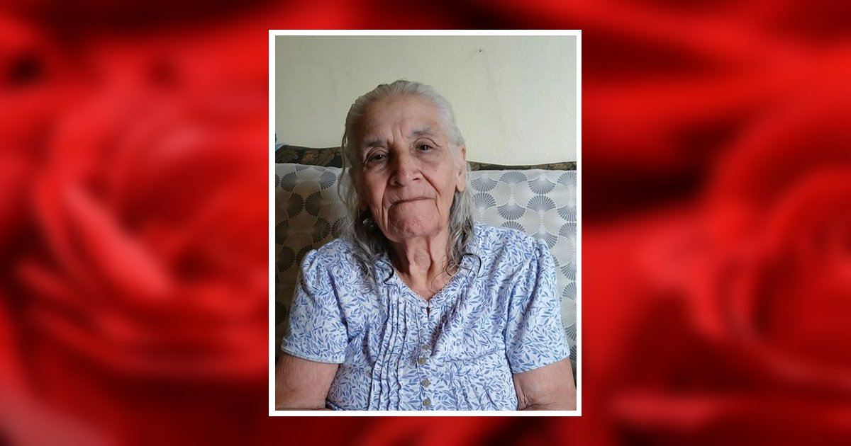 Lidia Garcia Obituary, Edinburg, TX