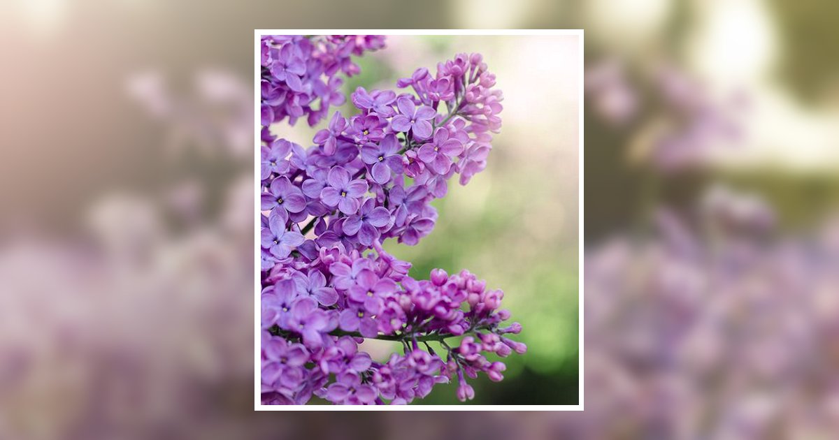 Shari L. Voltz Obituary, Barrington, IL