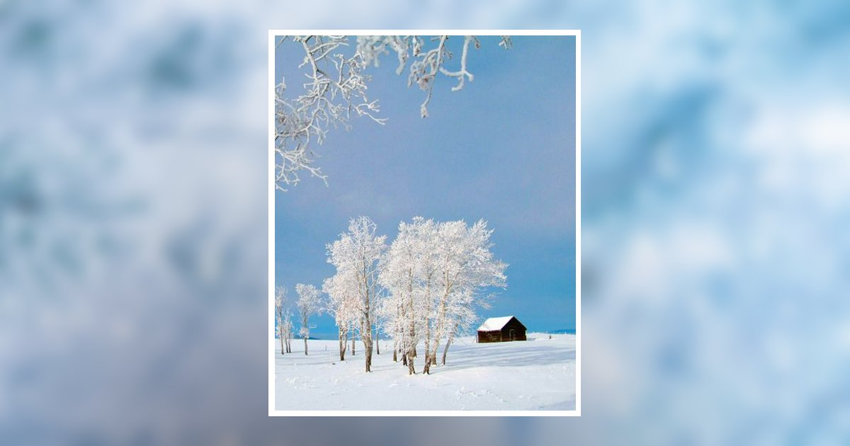 Robert Mckellips Obituary, Selmer, TN