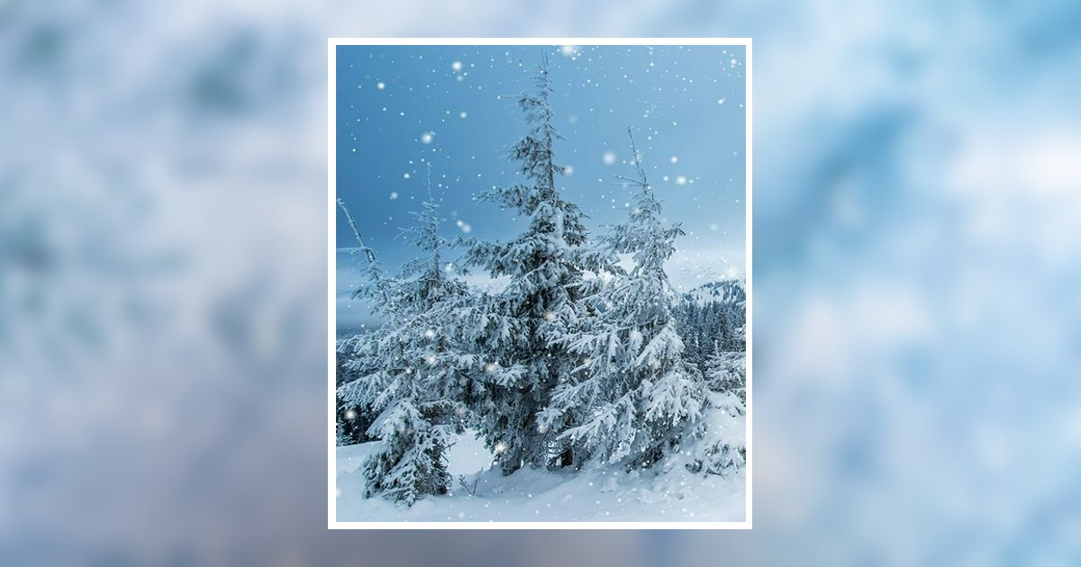 Shirley A. Bodner Ladysmith, WI Obituary