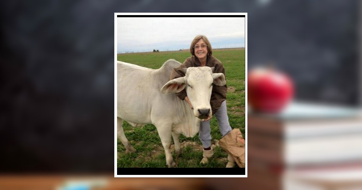 Ginger Ann Schneider