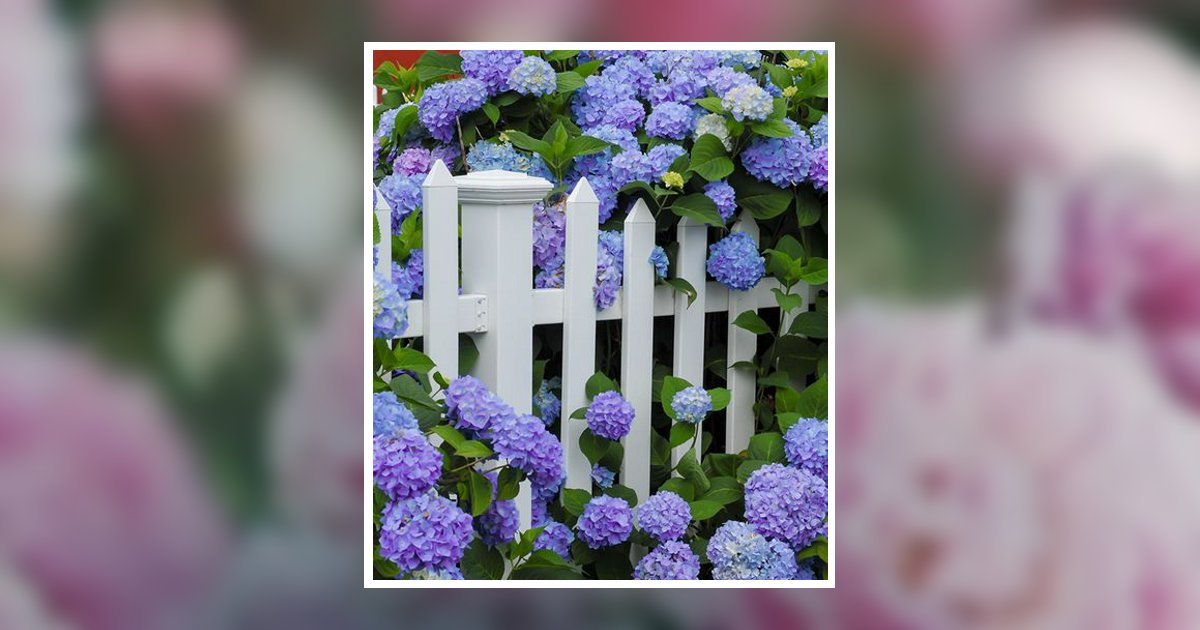 Teresa Gail Stevens Marshall Obituary, Dobson, NC