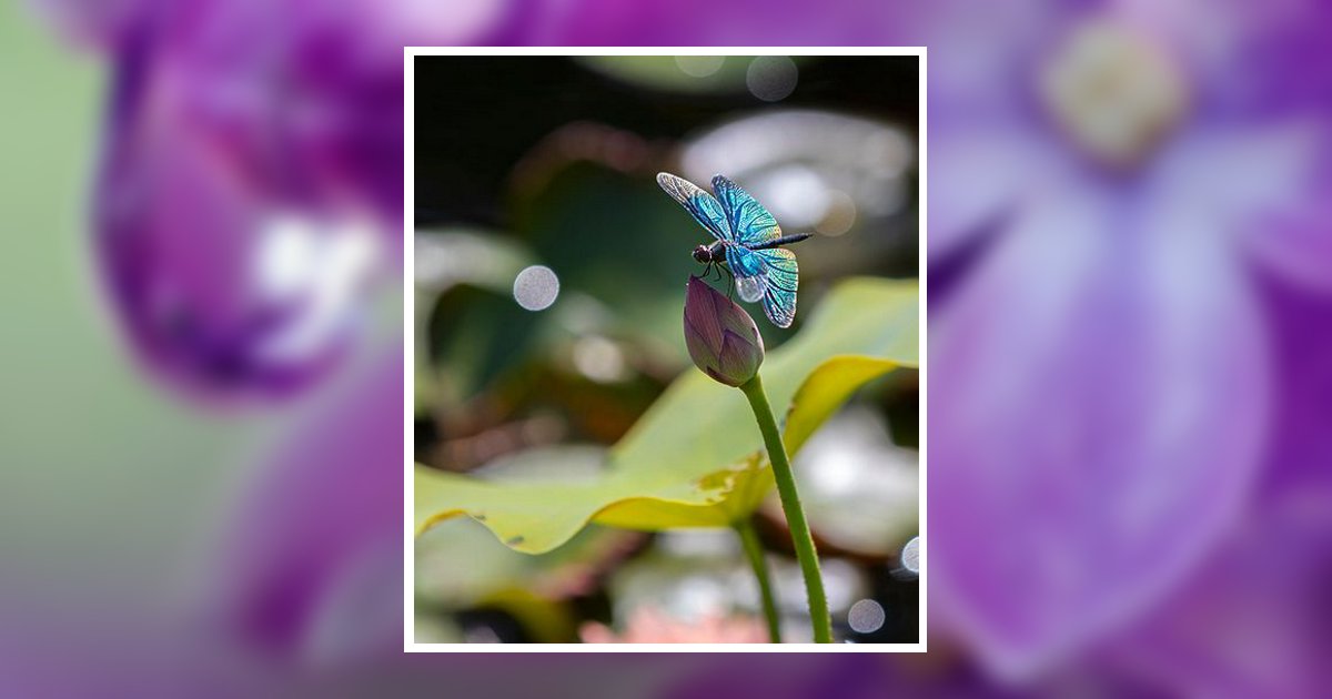 Gwendolyn Newman Obituary, Benbrook, TX