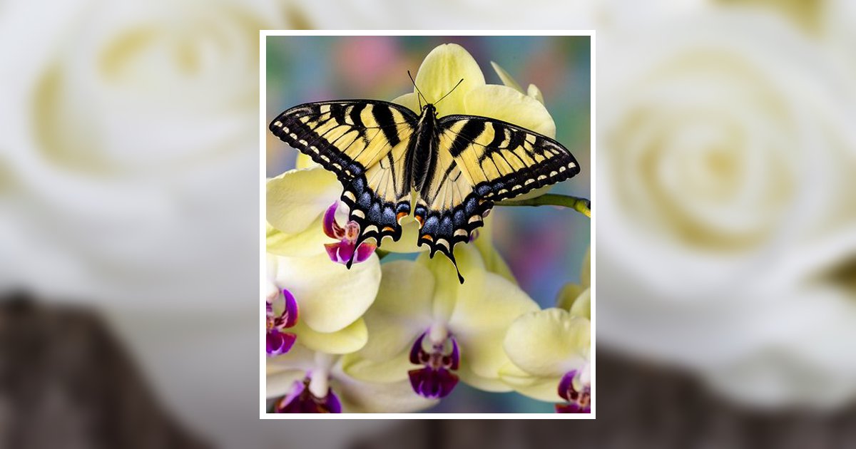 Cecelia Leon Obituary, Phoenix, AZ