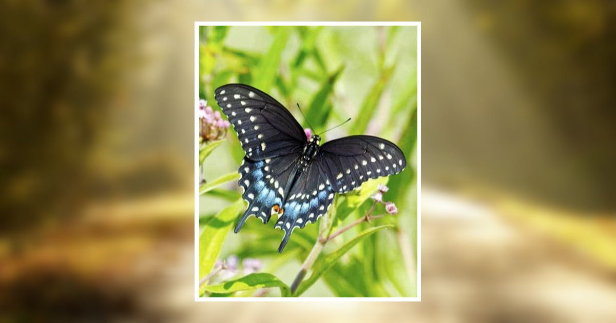 Frances Arnt Obituary, Lebanon, PA