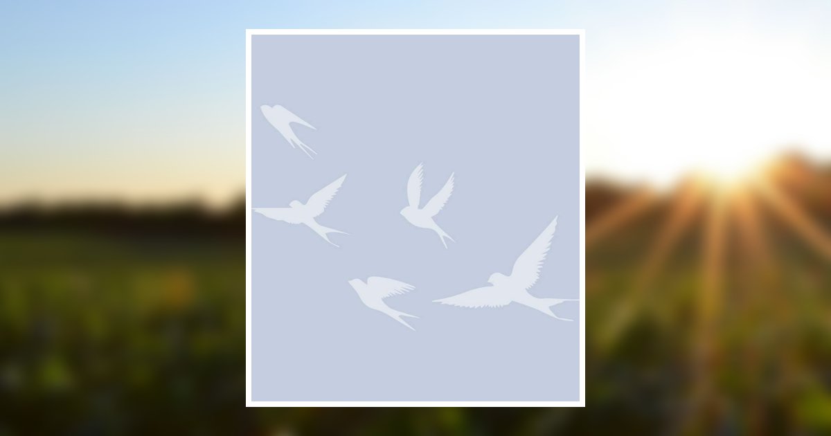 Gary Evenson Obituary, Webster, WI