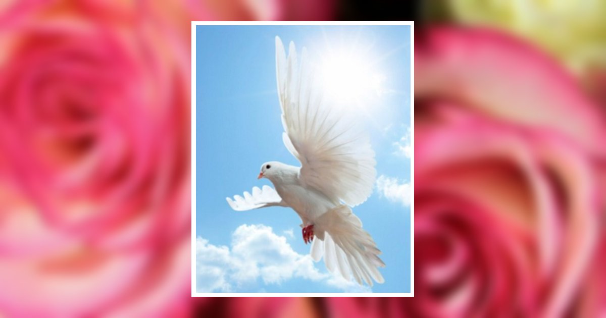 Greta Jean Damon Obituary, Columbia, SC