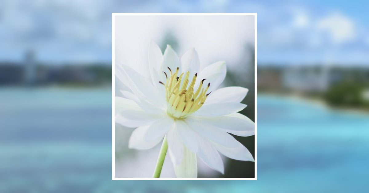 Fe Belle Agualo Davis Obituary, Pocatello, ID
