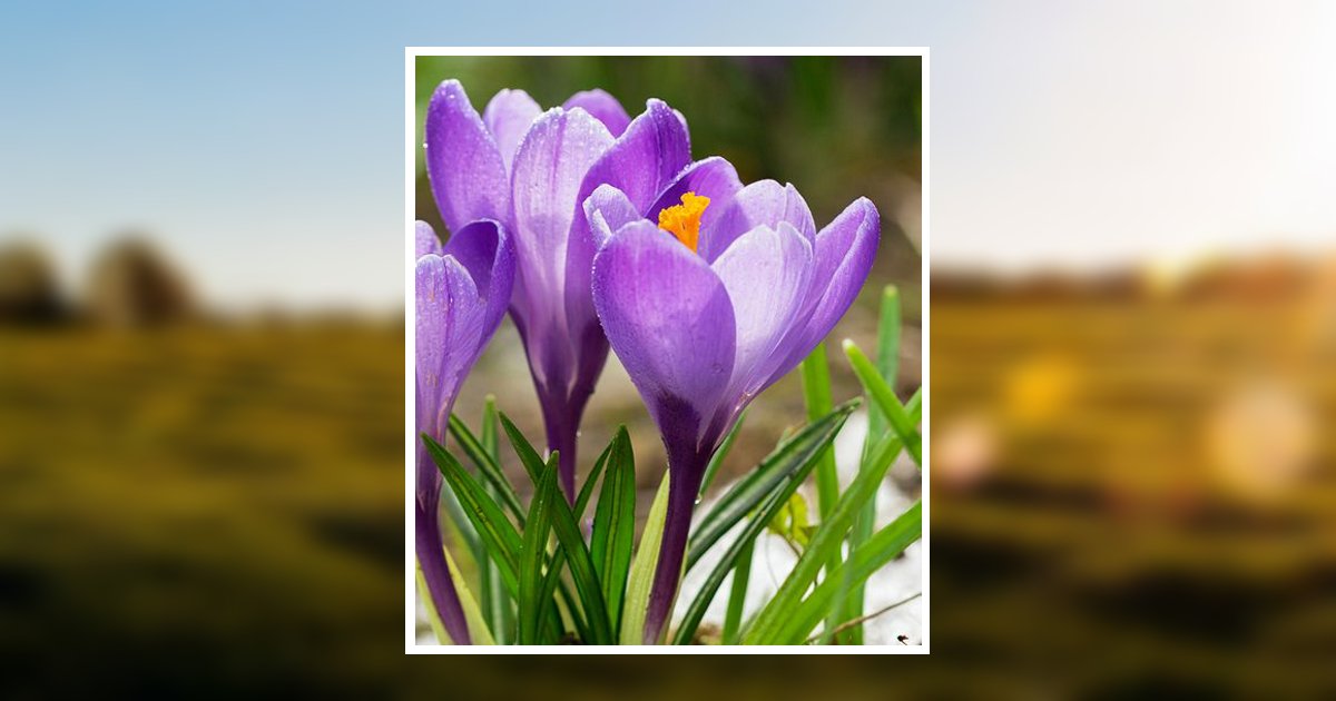 Virginia L. Blackmore Obituary, Bellingham, WA