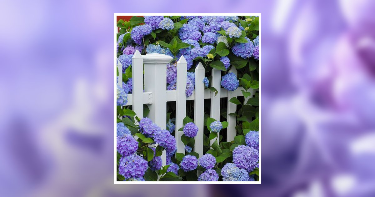 Barbara June Marshall Obituary, Gainesville, TX