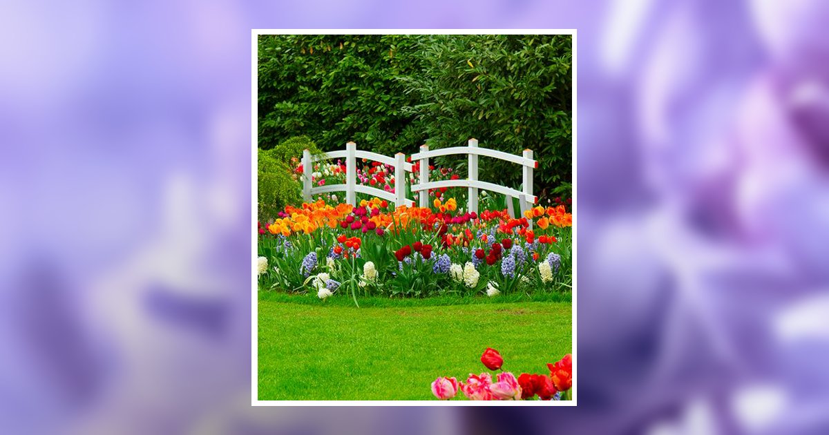 Brenda Gail Mcnitt Obituary, Hazel Green, AL
