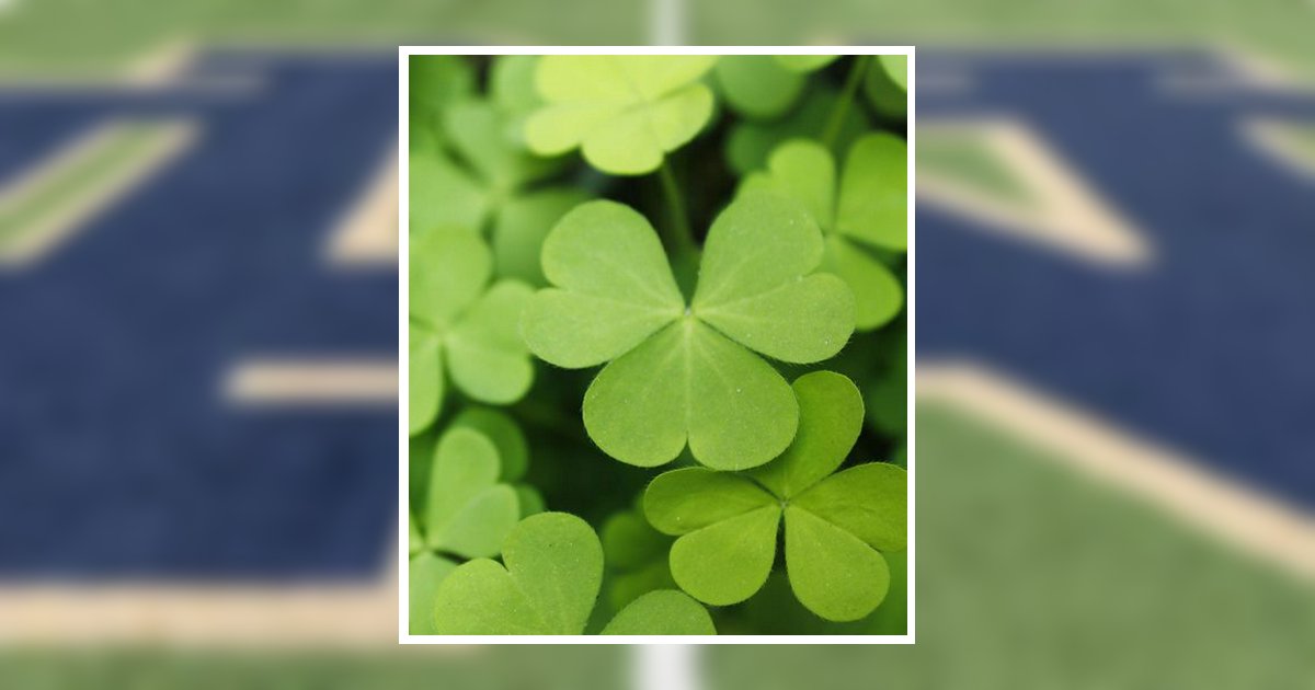 Patrick M. Kelly Obituary, Youngstown, OH