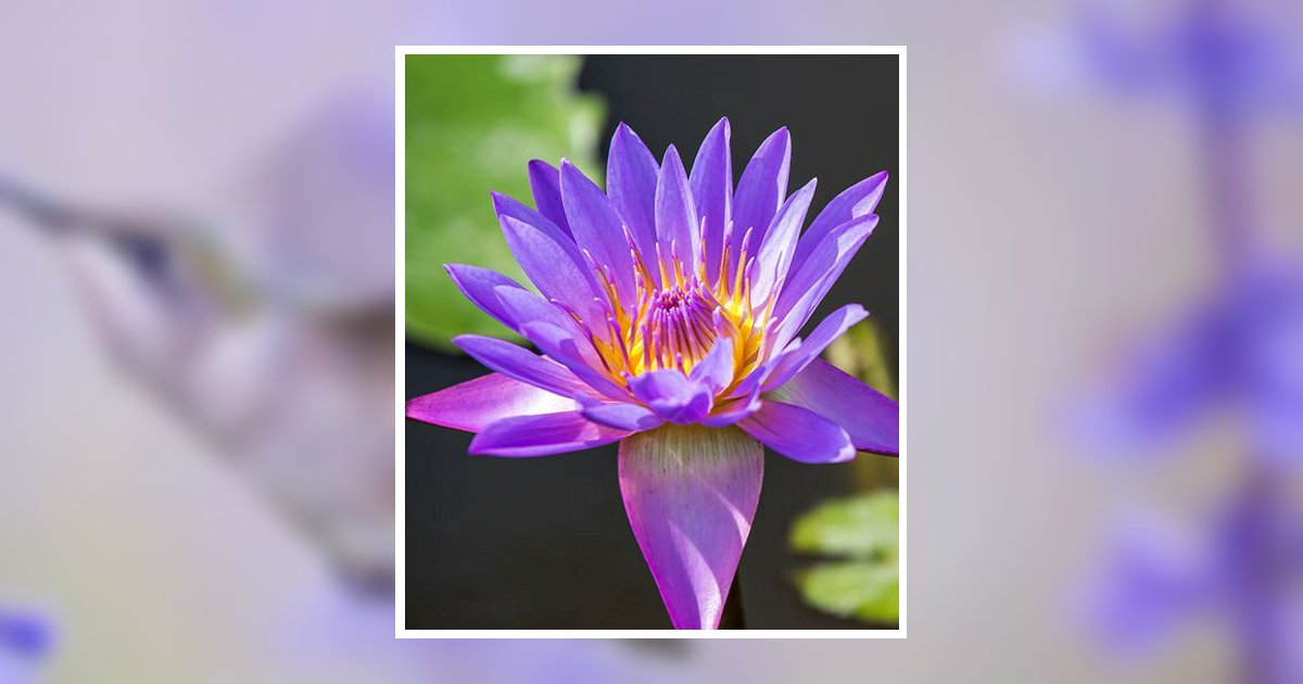 Elaine Patricia Shelton