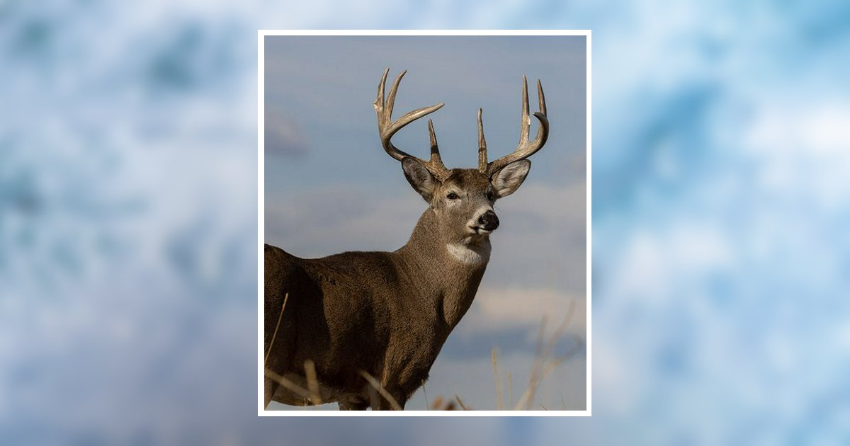 Joseph "Joe" Franklin Wolfe Obituary, Punxsutawney, PA