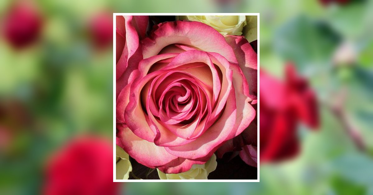 Patricia Ann Sigmon Obituary, Tappahannock, VA