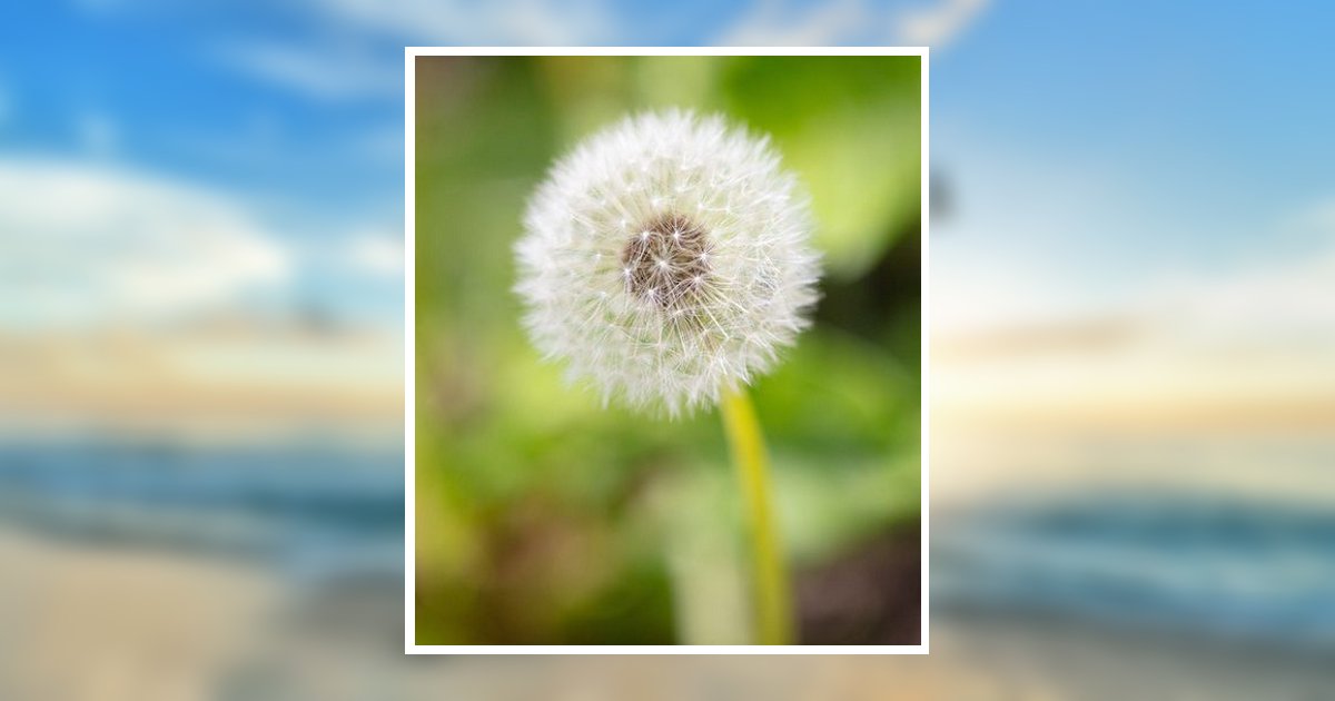 Lucille M Cipriano Obituary, Fort Myers, FL