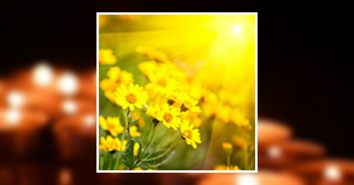 Hilda B. Handing Obituary, Meta, MO