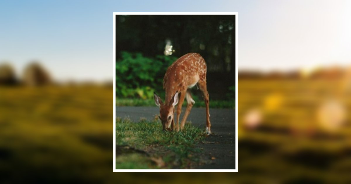 Iii Ronald Gene Helton Obituary, Pineville, KY