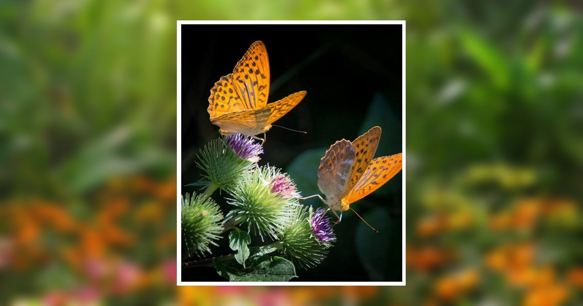 Picture Christine B Deloach