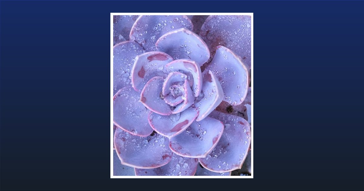 Mildred Elizabeth Wolford Leggett Obituary, Great Falls, SC