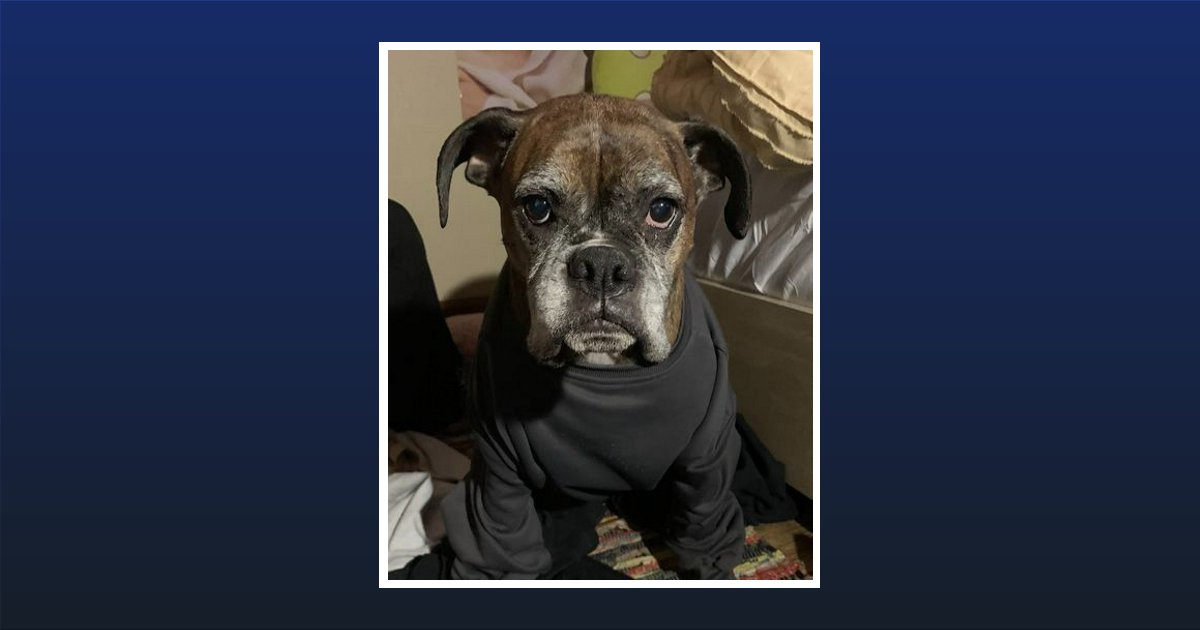 Tatum Juniper Mitchell Fansler Upland, IN Obituary