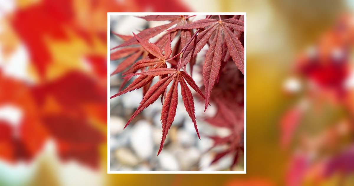 Gerald Wayne Hicks Obituary, Troy, NC