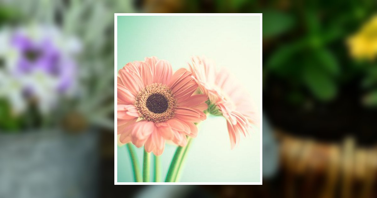 Peggy J. Belcher Obituary, Frostproof, FL