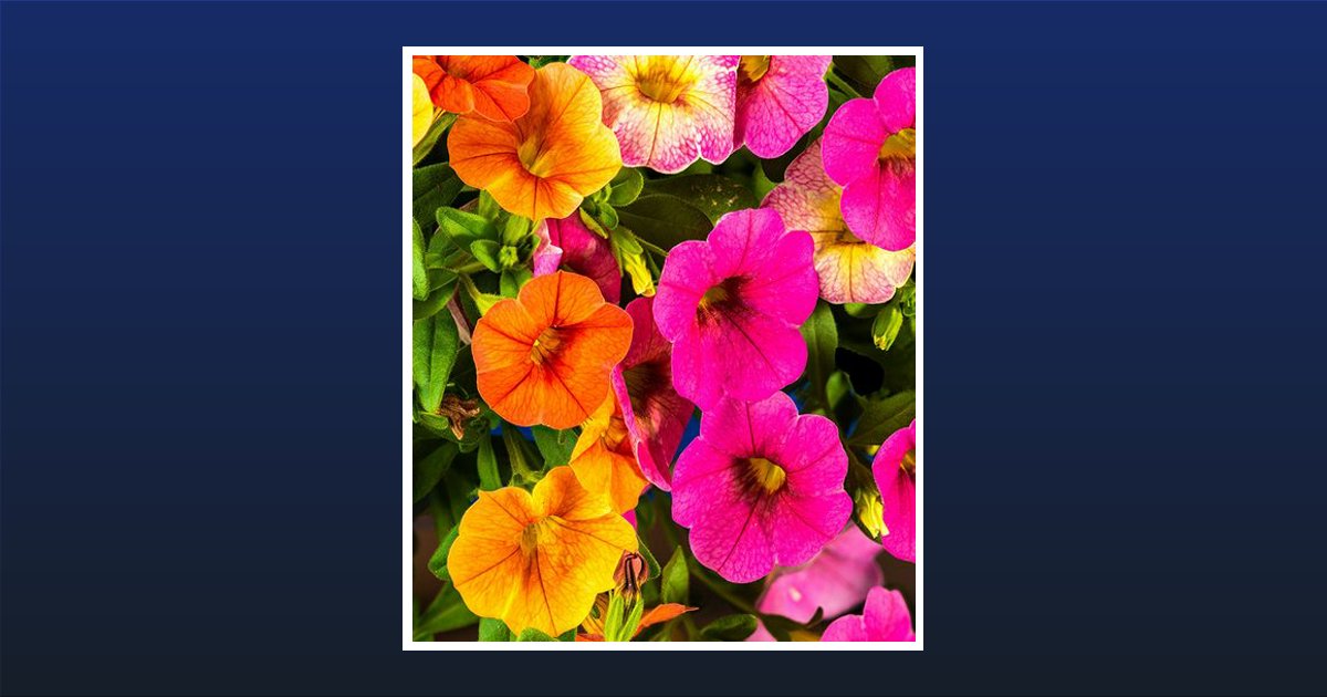 Lisa Gae Messick Clearfield, UT Obituary