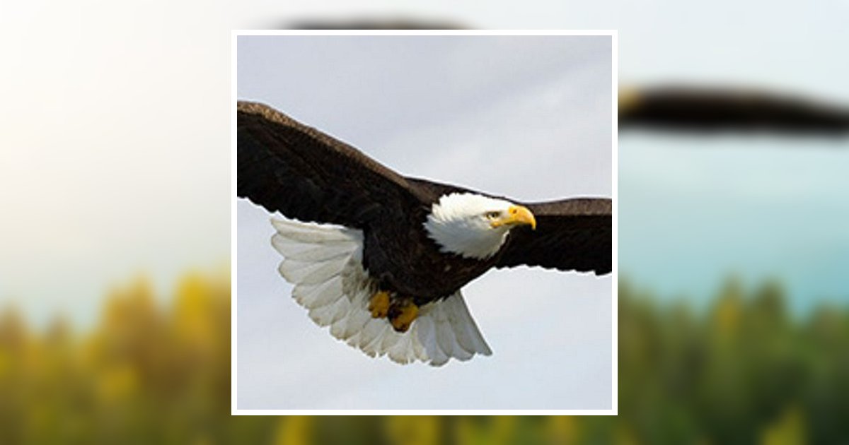 Shirley Ann Brooks Obituary March 14, 2017 - Johnson & Mass-Hinitt ...