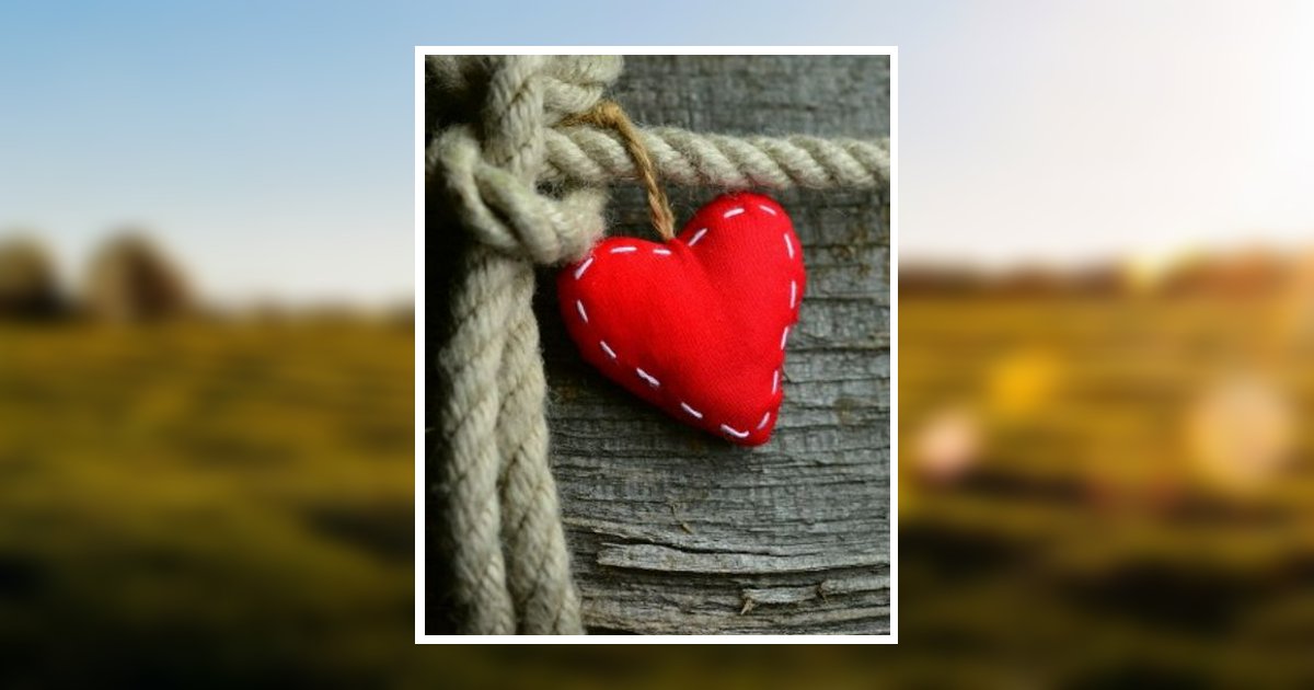 Anne M. Bidwell Obituary, New Brighton, PA