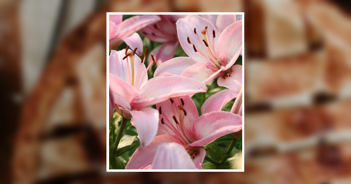 Gail Rosetta Westmoreland Brown Obituary, Commerce, GA