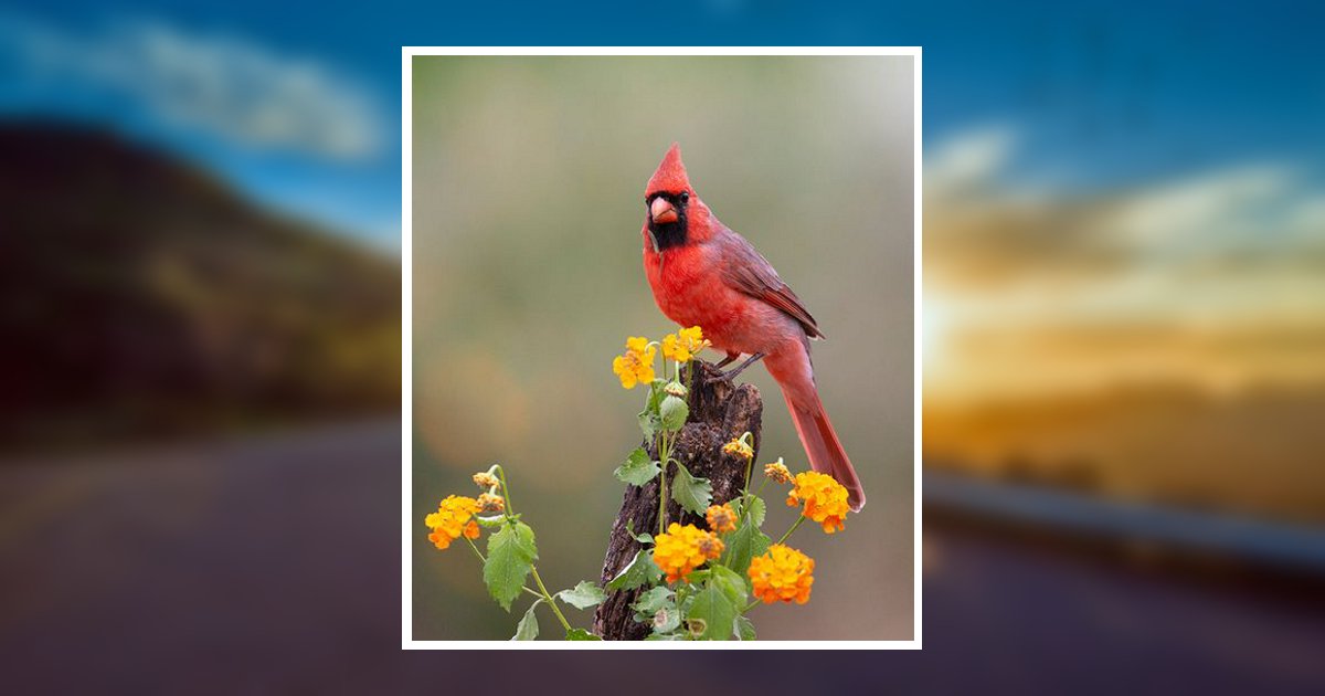 Wanda Michaelis Obituary, Cambridge, NE