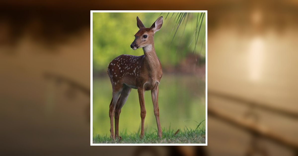 Sr. Ralph Edward Reed Obituary, Mechanicsburg, PA