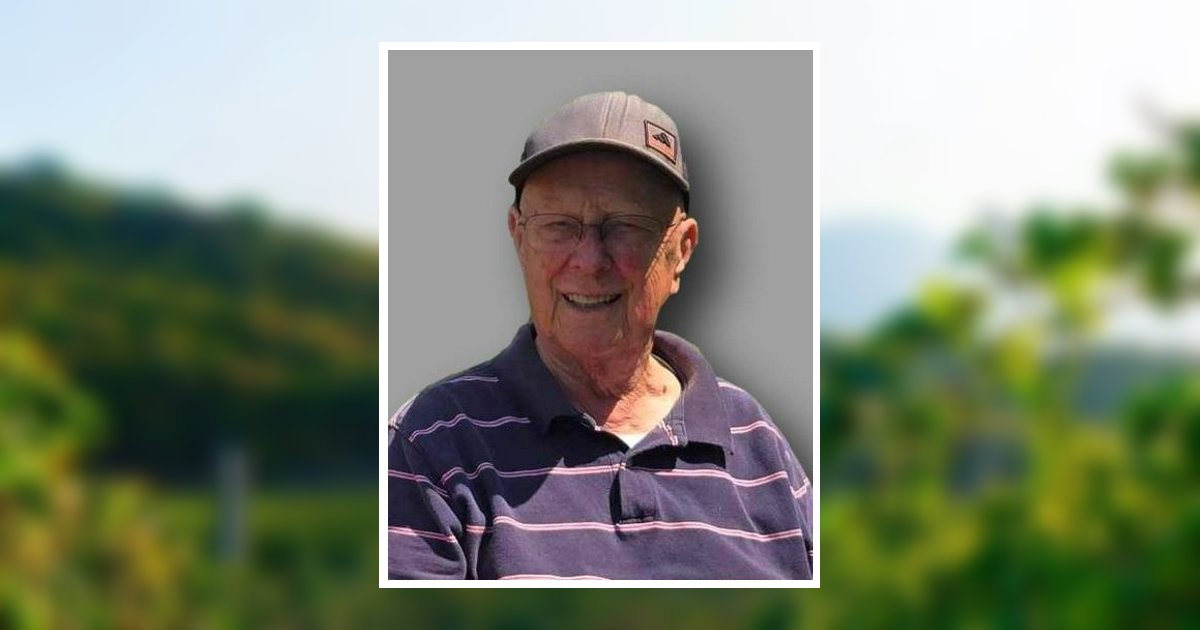 Verne John Rambo Obituary, Bridgman, MI