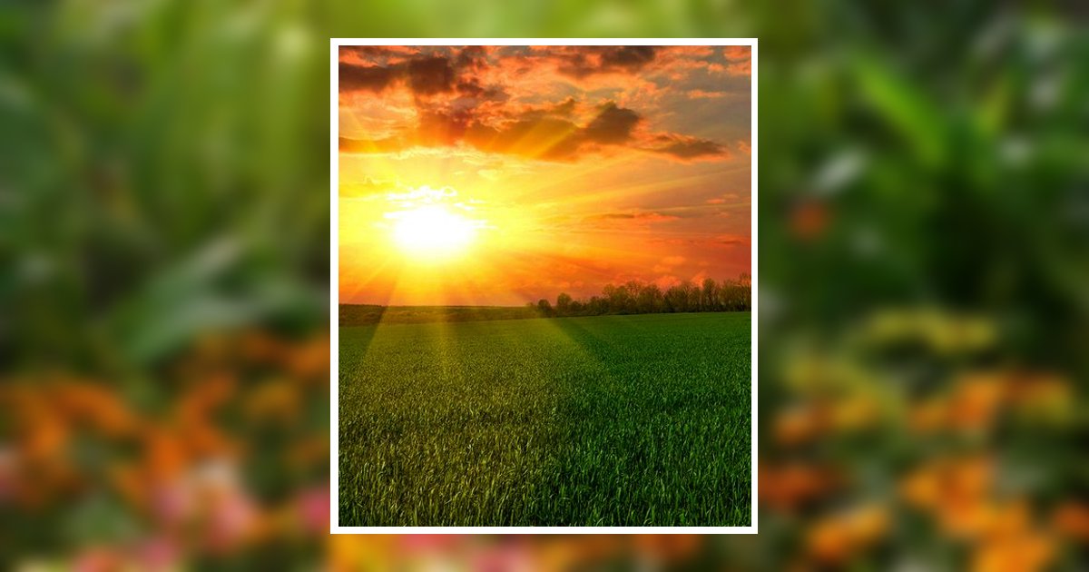 Barbara Collins Obituary, Hillsboro, OH