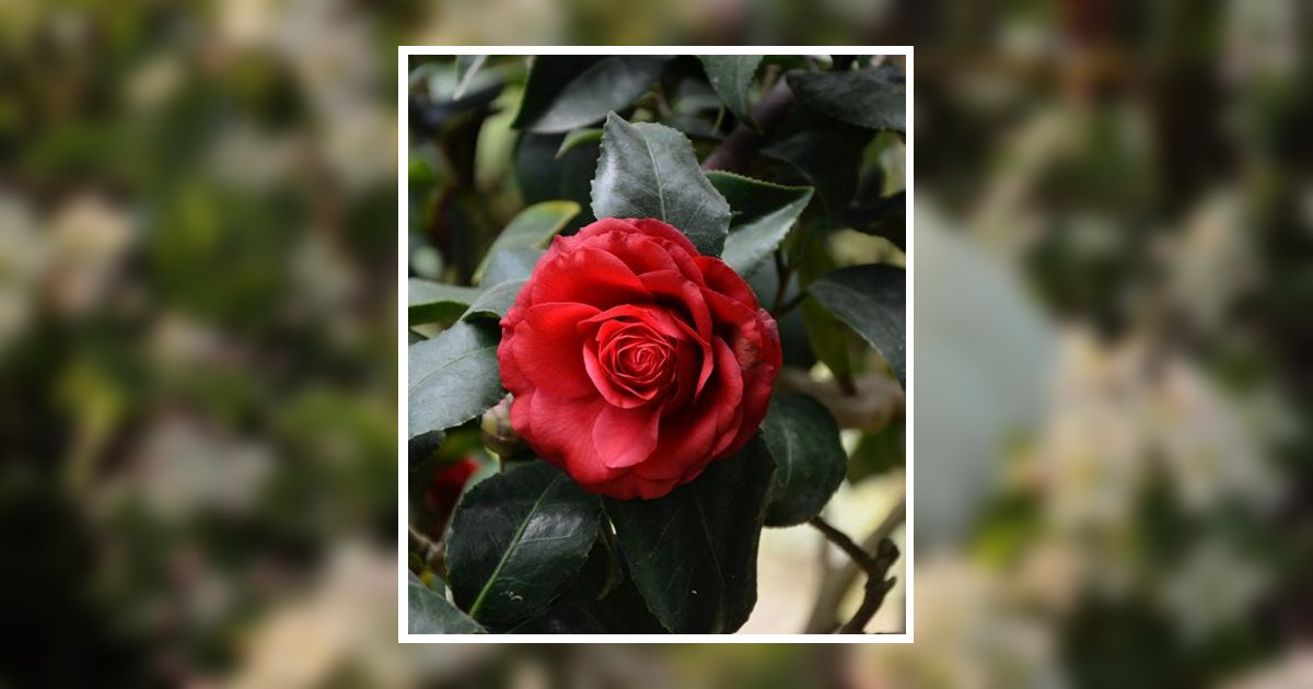 Dionne Mechael Hembree Obituary, Dukedom, TN