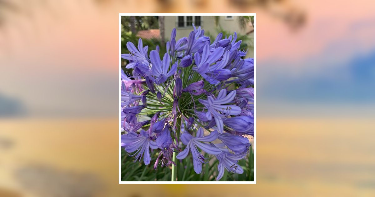Johnette N. Karpeh Obituary, Charlotte, NC
