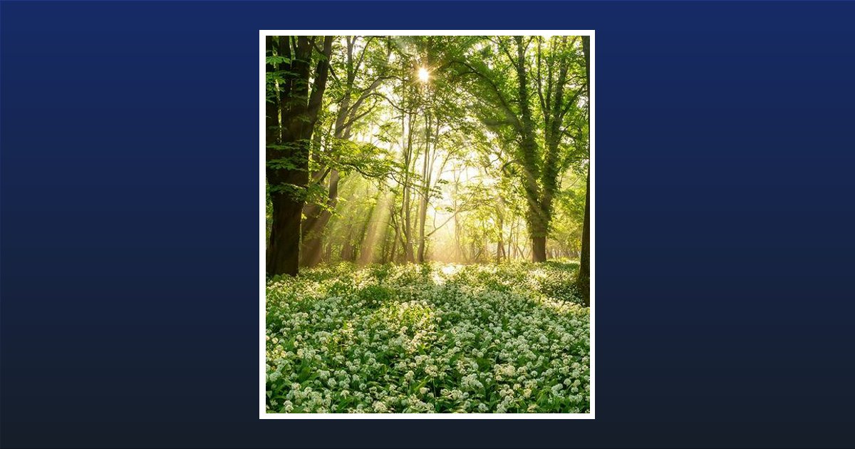 Jr. Willie James Clay