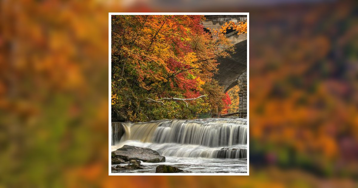 Josiah Stephenson Jr. Obituary, Farmington, MO