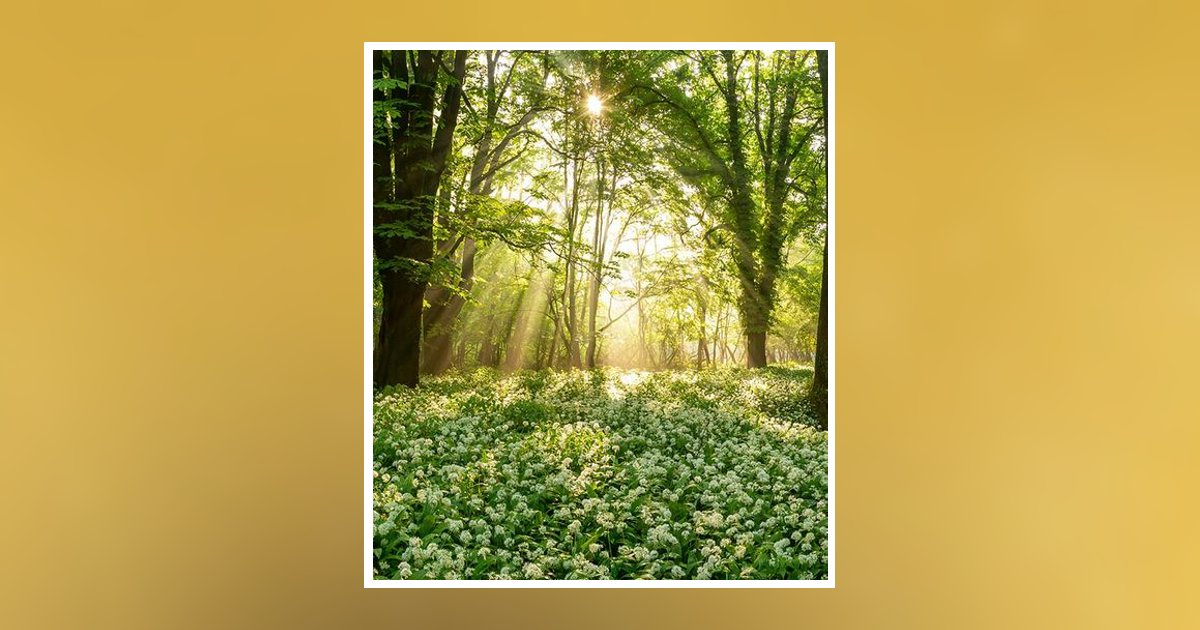 Johnny Ray Vailes Obituary, Bossier City, LA