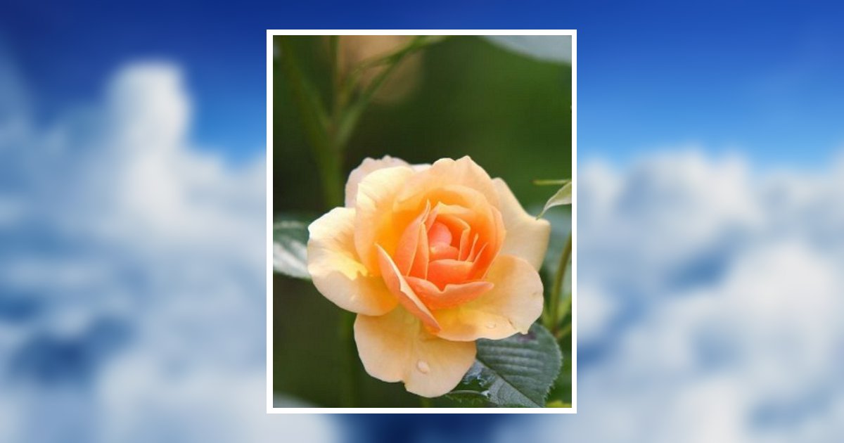 Diane L. Moffat Obituary, Homestead, PA