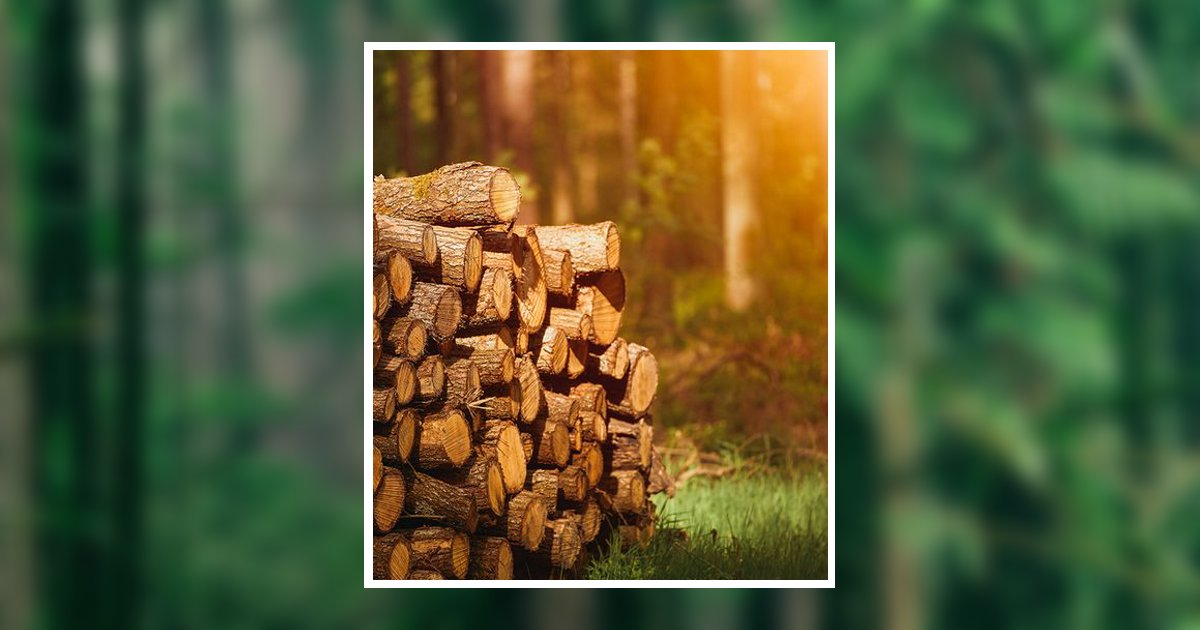 Jos Antonio Cepeda Robles Obituary, Melbourne, FL