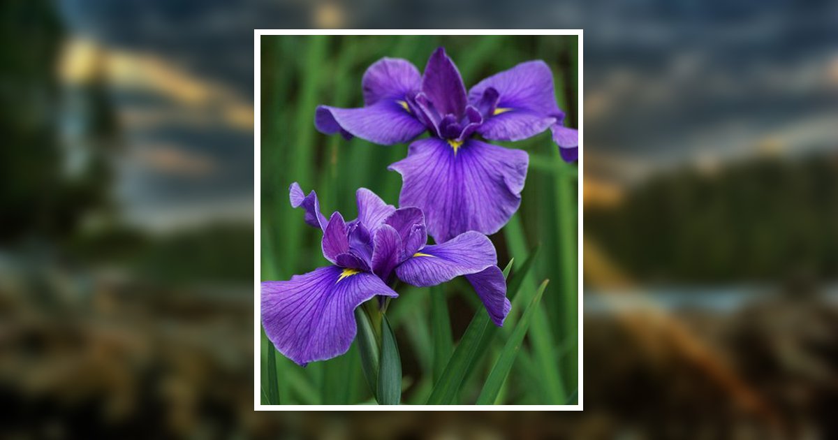 Barbara A. Dewalt Obituary, Charlotte, NC
