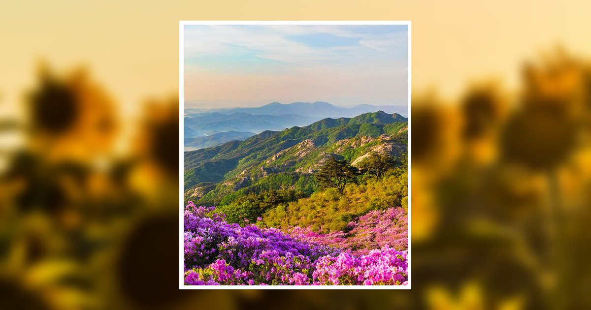 Auralie Anne Nelson Obituary, Caro, MI