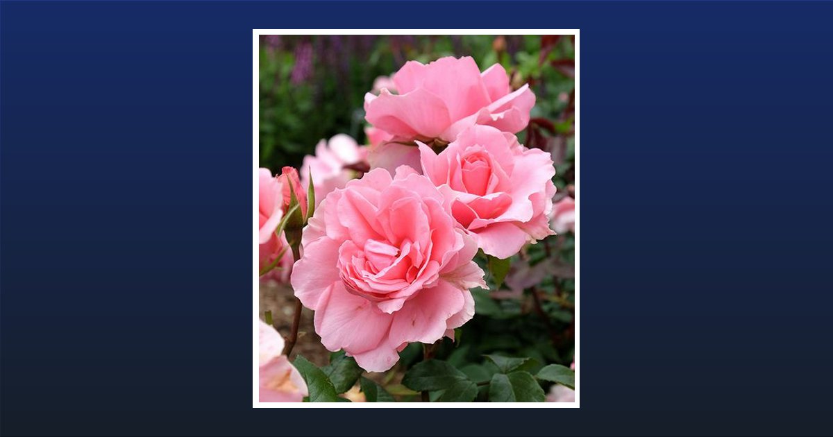 Diane Tornatore Austin, TX Obituary